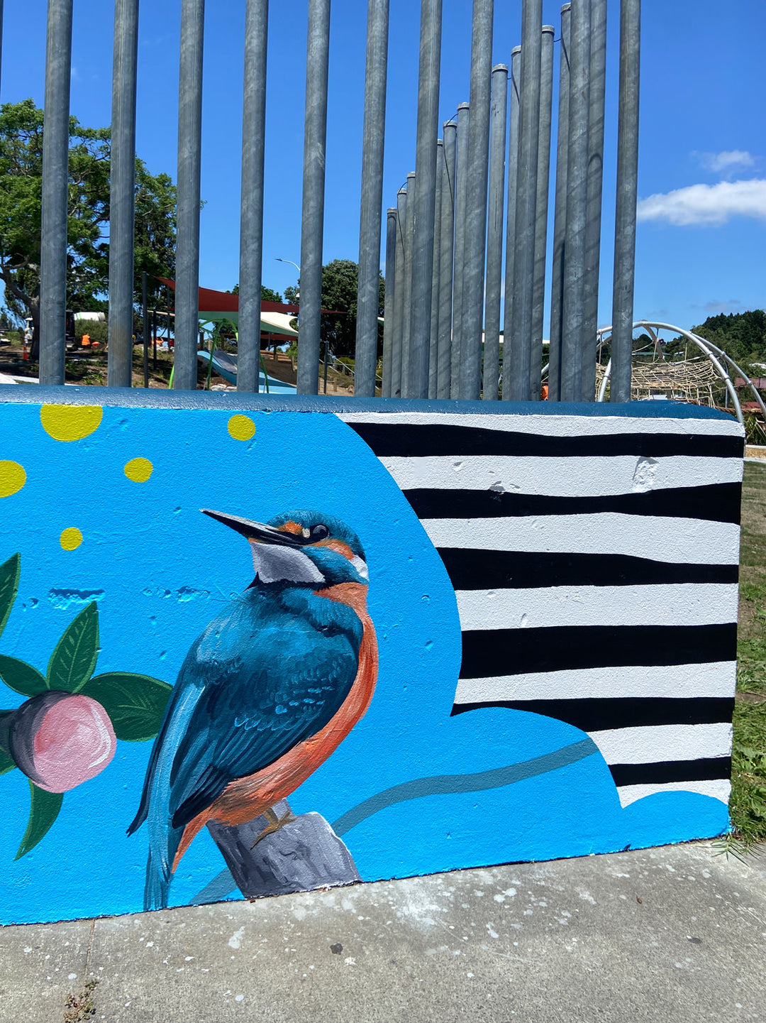 Waitaha Reserve Mural – Bay of Plenty