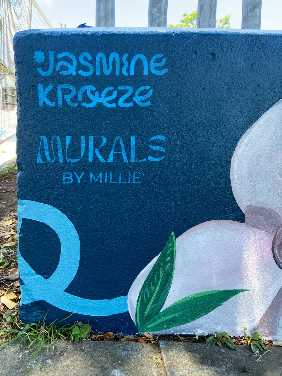 Waitaha Reserve Mural – Bay of Plenty